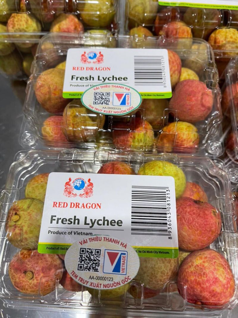 Vải thiều Thanh Hà được hỗ trợ lên sàn thương mại điện tử