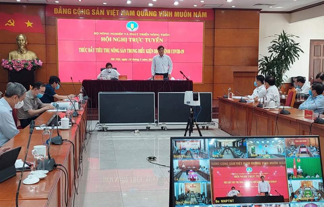 Quang cảnh hội nghị