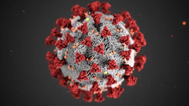 Nguy cơ bùng phát biến thể virus "siêu lây nhiễm" ở Malaysia - ảnh 1