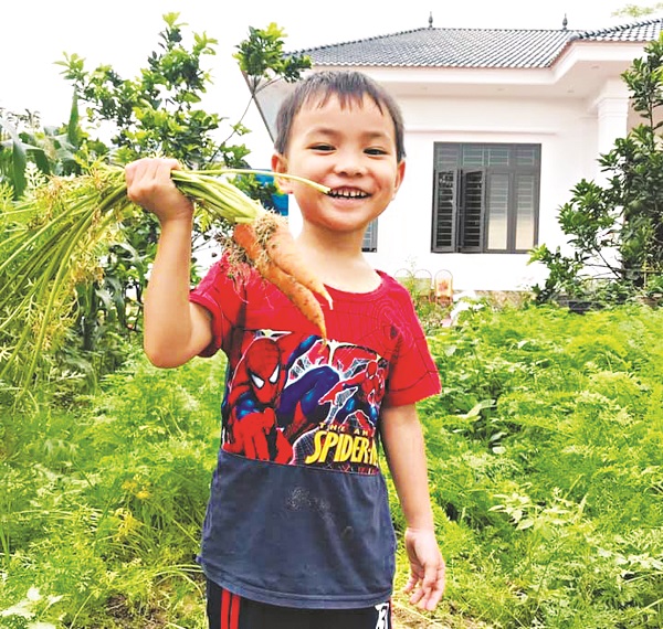 Con trai anh Long h&agrave;o hứng nhổ c&agrave; rốt với bố