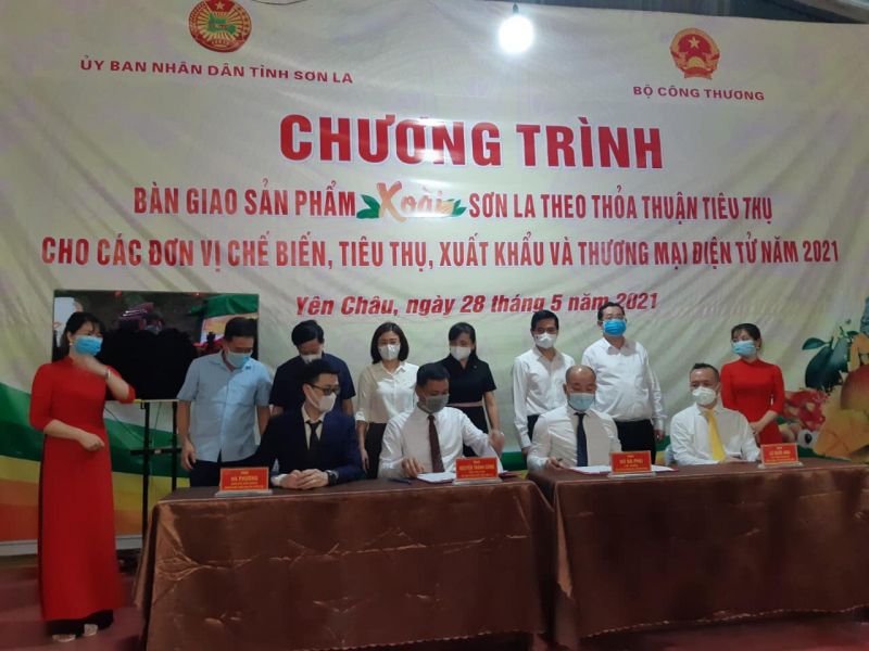 Bộ Công Thương hỗ trợ Sơn La xuất khẩu xoài, nhãn và tiêu thụ trong nước - ảnh 2