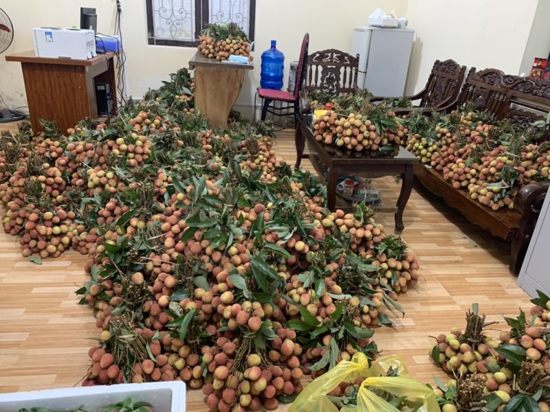 Những chuyến xe nông sản nghĩa tình của lực lượng quản lý thị trường - ảnh 4