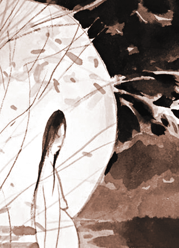 Minh họa sưu tầm