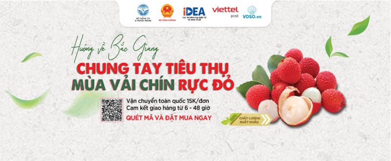 Vải thiều Bắc Giang lần đầu tiên chuyển phát  nhanh qua “Gian hàng Việt trực tuyến Quốc gia” - ảnh 3
