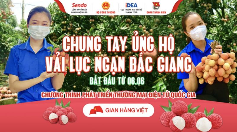 6 sàn thương mại điện tử đẩy mạnh tiêu thụ trực tuyến vải thiều Bắc Giang - ảnh 6