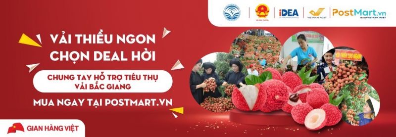 6 sàn thương mại điện tử đẩy mạnh tiêu thụ trực tuyến vải thiều Bắc Giang - ảnh 4