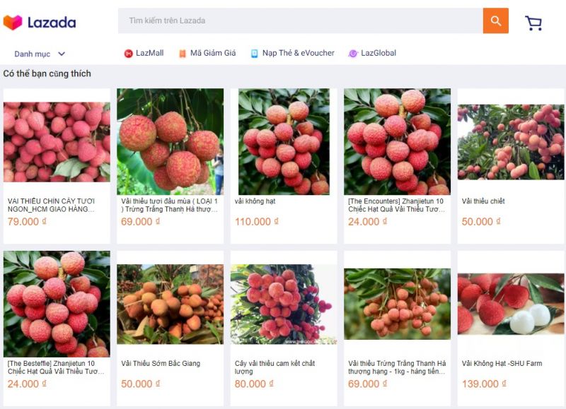 6 sàn thương mại điện tử đẩy mạnh tiêu thụ trực tuyến vải thiều Bắc Giang - ảnh 3