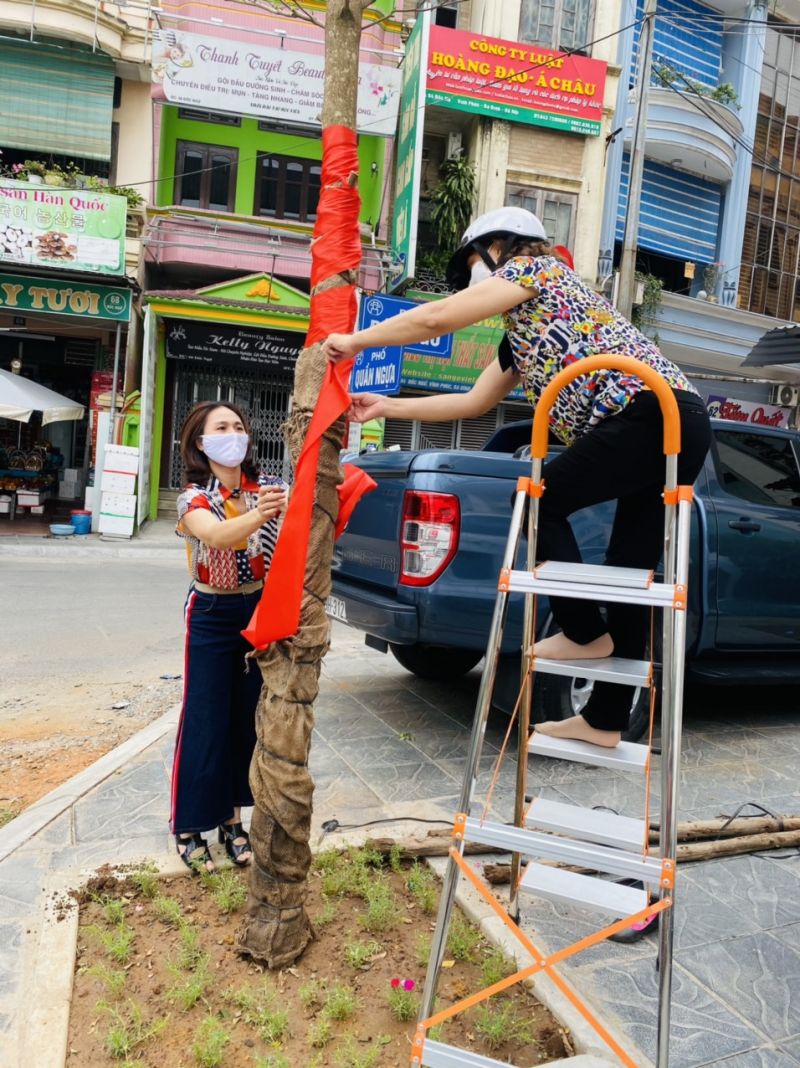 C&aacute;c chị trang tr&iacute; c&acirc;y