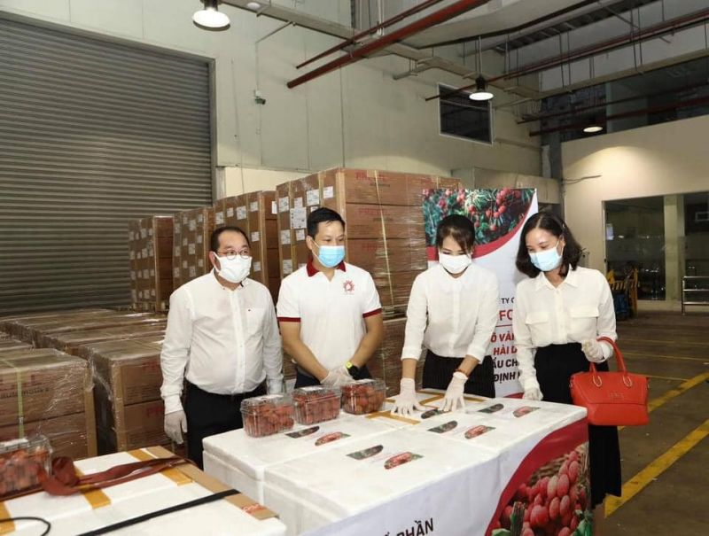 Lô vải thiều đầu tiên xuất khẩu đi Châu âu theo hiệp định EVFTA năm 2021 - ảnh 3