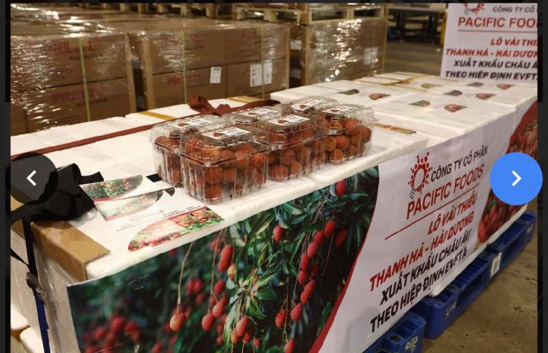 Lô vải thiều đầu tiên xuất khẩu đi Châu âu theo hiệp định EVFTA năm 2021 - ảnh 2