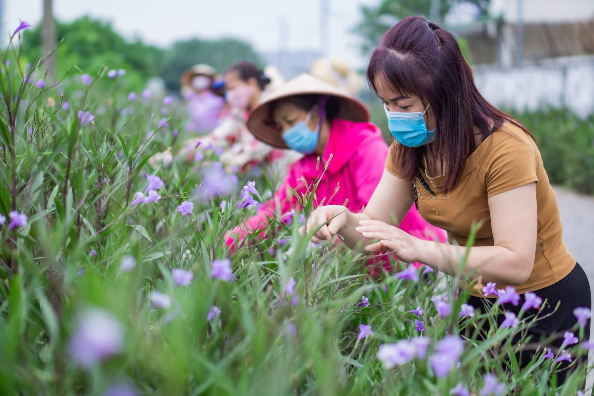 Hội LHPN xã Tân Triều, huyện Thanh Trì hưởng ứng ngày môi trường thế giới - ảnh 2