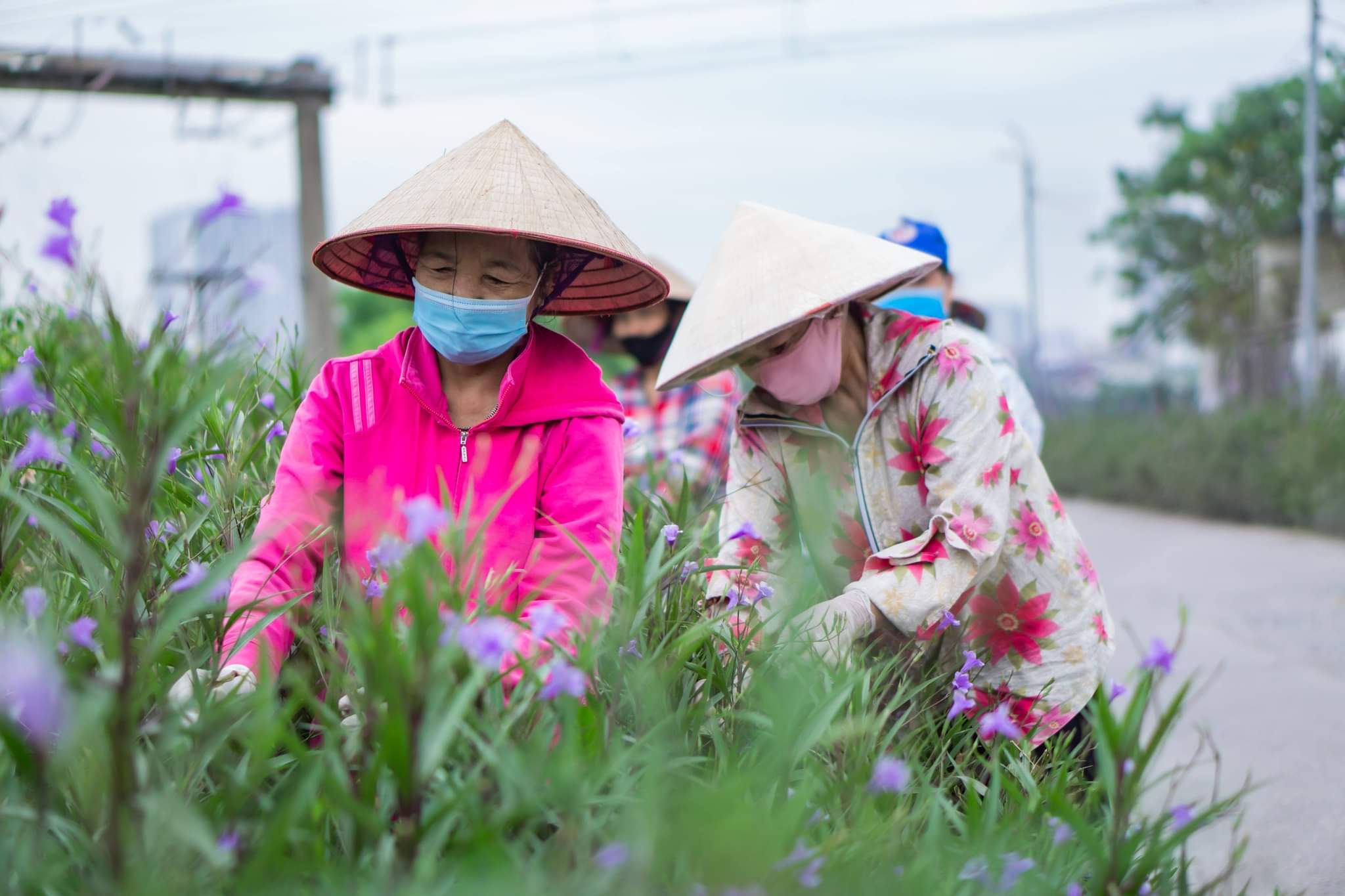 Hội LHPN xã Tân Triều, huyện Thanh Trì hưởng ứng ngày môi trường thế giới - ảnh 3
