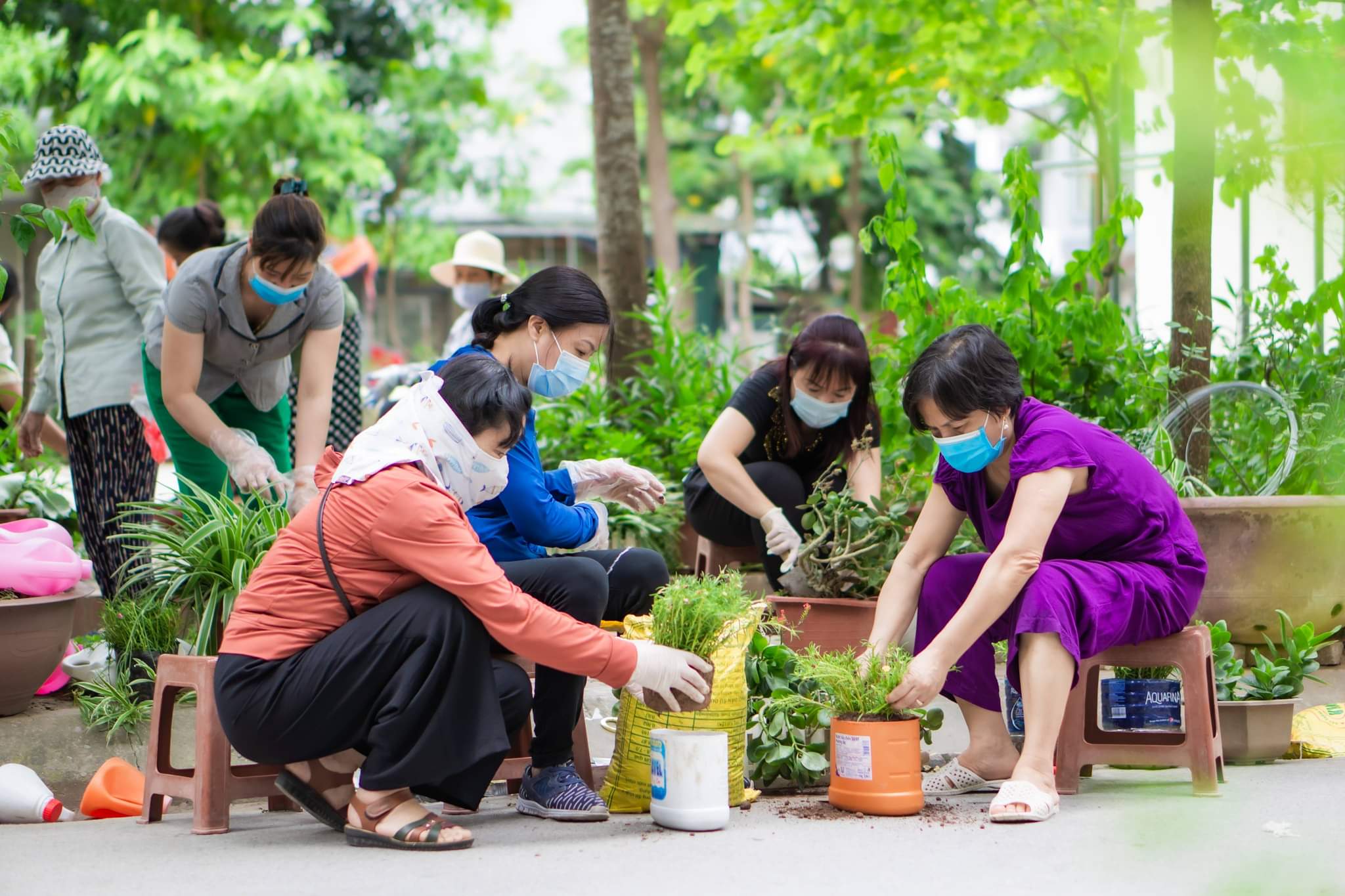 Hội LHPN xã Tân Triều, huyện Thanh Trì hưởng ứng ngày môi trường thế giới - ảnh 7