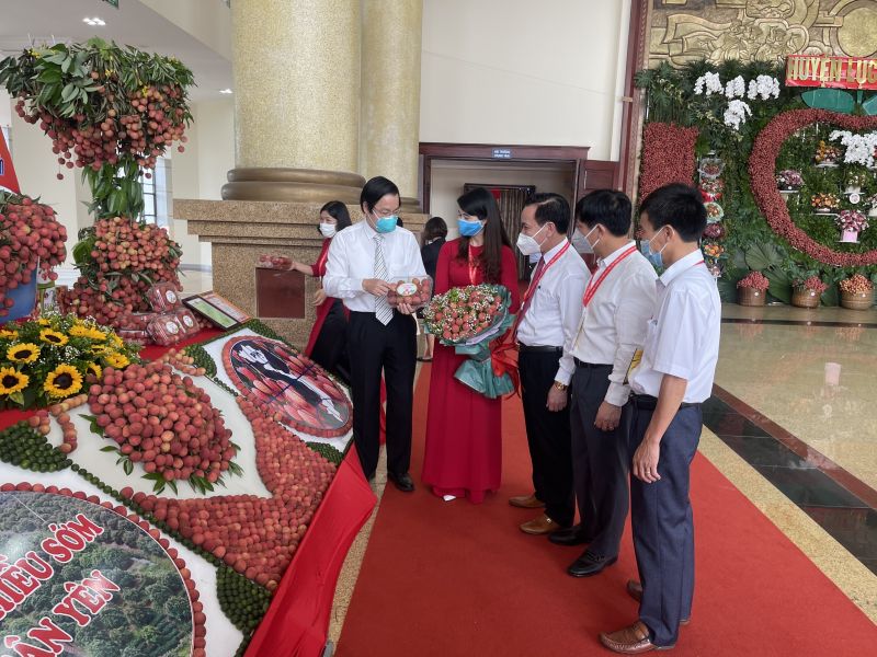 Trực tuyến 30 điểm cầu trong và ngoài nước xúc tiến tiêu thụ vải thiều Bắc Giang - ảnh 4