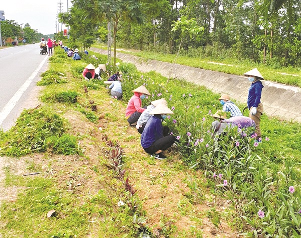Chị em hội viên phụ nữ Sóc Sơn tích cực trồng hoa trên các tuyến đường