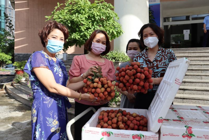 Theo đánh giá, chất lượng vải được chuyển đến khá đồng đều, quả tươi, mọng nước, vị ngọt đậm, rất hấp dẫn