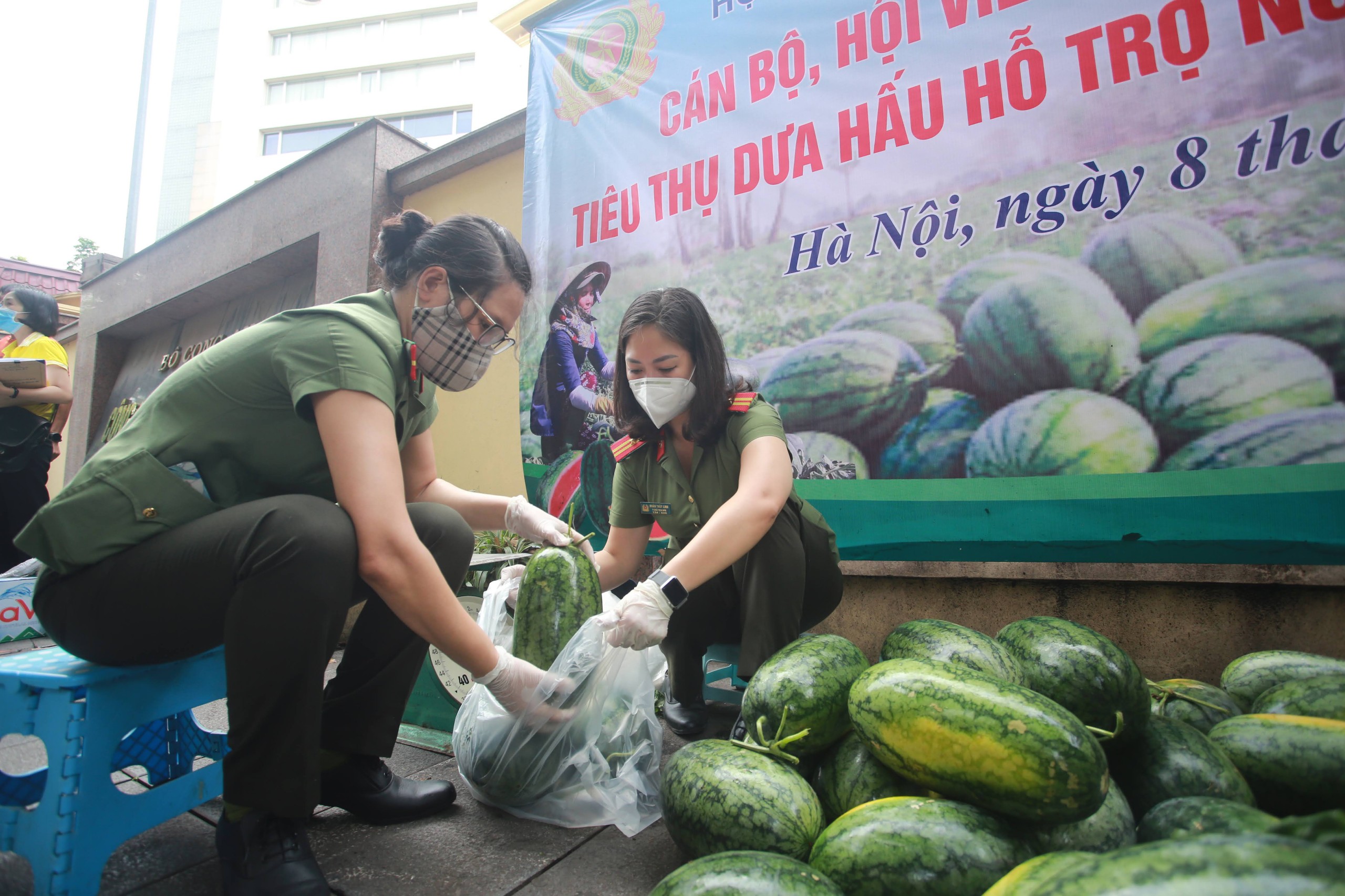 Và chung tay hỗ trợ tiêu thụ dưa hấu cho người nông dân