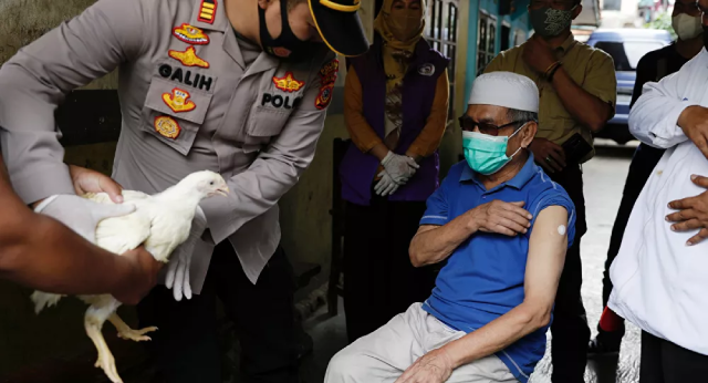 Indonesia phát gà cho những người đã tiêm chủng ngừa COVID-19.