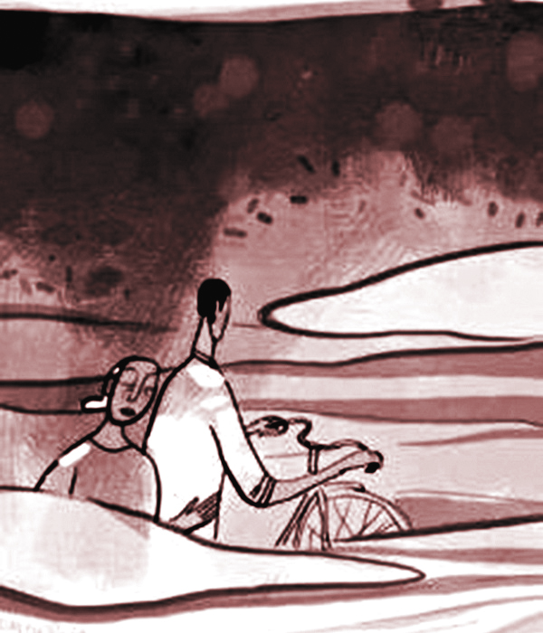 Minh họa sưu tầm