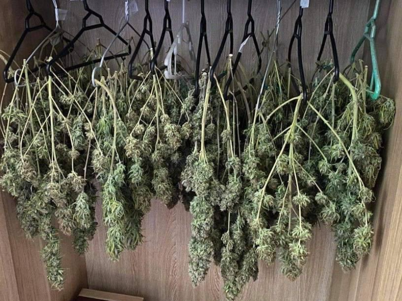 Cần sa ph&aacute;t hiện trong nh&agrave; đối tượng