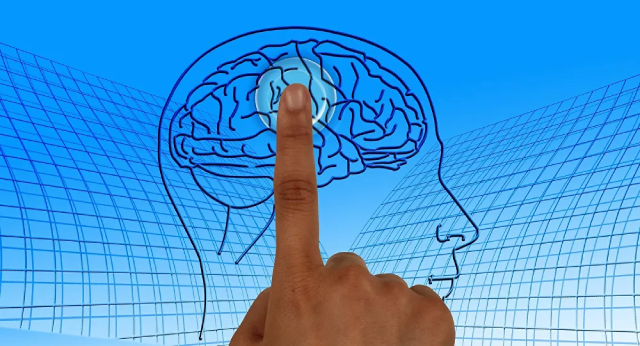 Bộ não con người có thể du hành xuyên thời gian hay không? - ảnh 1