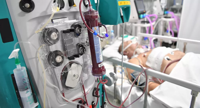 Có bao nhiêu đột biến coronavirus mới sẽ xuất hiện trong bốn tháng tới? - ảnh 1