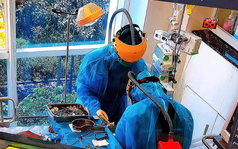 Đồng Tháp tiếp tục có 2 ca tử vong do Covid-19 trên nền bệnh lý nặng - ảnh 1