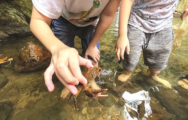 “Lỡ hẹn” với biển xanh, người Hà Nội về với thiên nhiên, núi rừng - ảnh 2