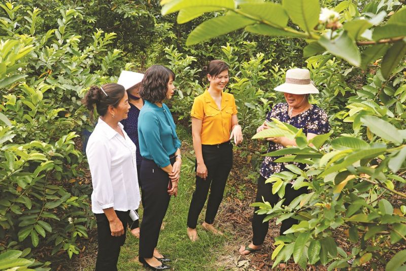 L&atilde;nh đạo Hội LHPN huyện Gia L&acirc;m thăm m&ocirc; h&igrave;nh ph&aacute;t triển kinh tế của hội vi&ecirc;n x&atilde; Kim Lan