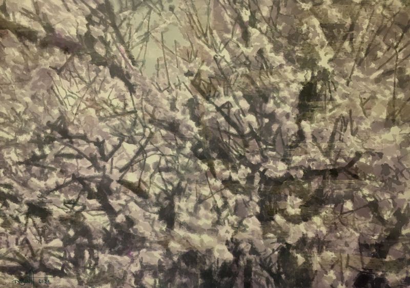 Dó là một chất liệu độc đáo và tuyệt vời của Việt Nam, là biểu trưng của truyền thống trong xã hội ngày càng phát triển, vì vậy cần được gìn giữ và trân trọng.