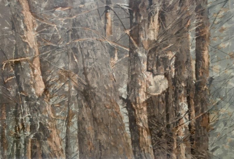 Một số tác phẩm tranh màu nước trên giấy dó của họa sĩ Vũ Thái Bình