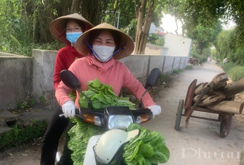 Hội viên Hội LHPN phường Lĩnh Nam hỗ trợ tiêu thụ rau sạch cho các hộ dân trong khu vực phong tỏa. Hội viên Hội LHPN phường Lĩnh Nam hỗ trợ tiêu thụ rau sạch cho các hộ dân trong khu vực phong tỏa.