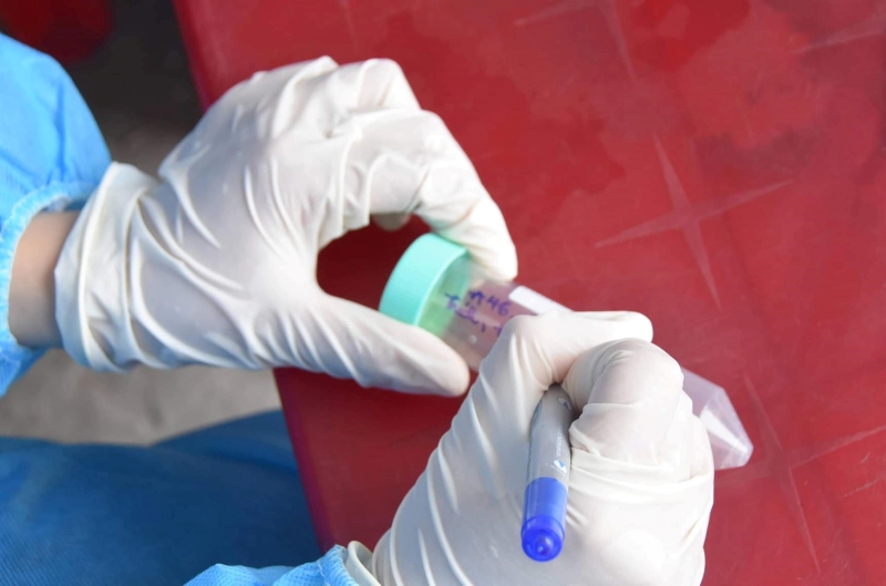 Ảnh minh họa. Nguồn: Int