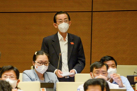 Đại biểu Trần Hoàng Ngân Đại biểu Trần Hoàng Ngân
