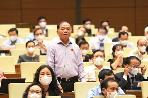 Đại biểu Lê Thanh  Vân Đại biểu Lê Thanh  Vân