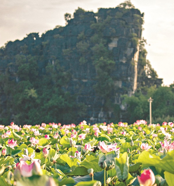 An nhiên ở Hang Múa - ảnh 4