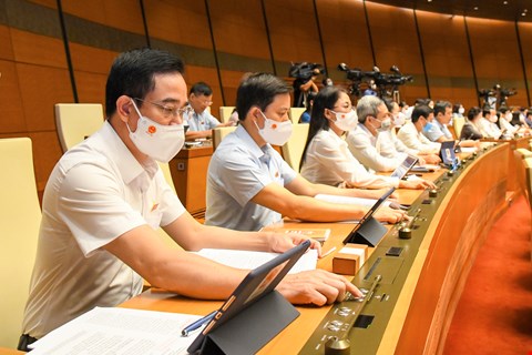 Các đại biểu nhấn nút biểu quyết