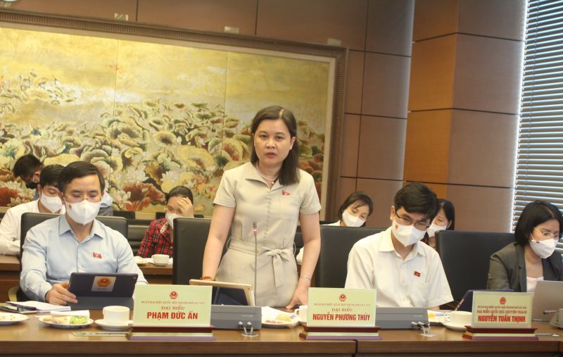 Đại biểu Nguyễn Phương Thủy (Đoàn Hà Nội)