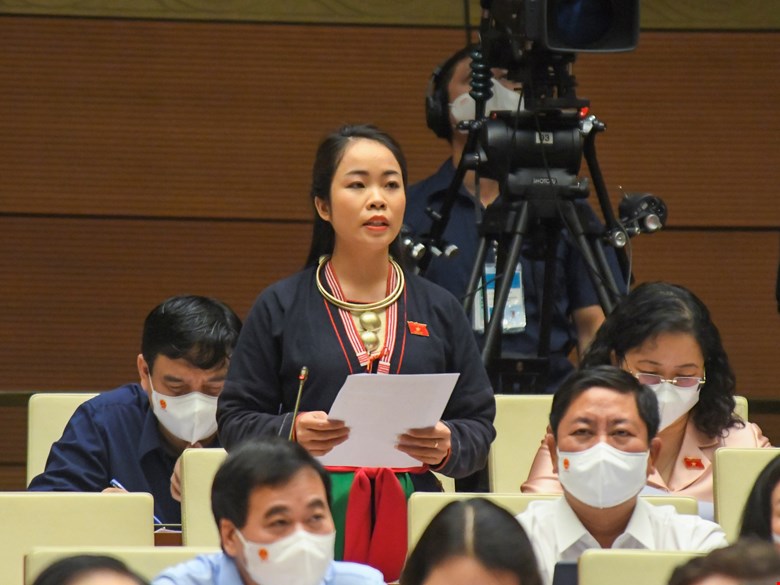 Đại biểu Triệu Thị Huyền