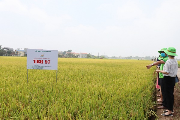 Người lao động được hỗ trợ, đào tạo lại kỹ năng nghề nghiệp, nâng cao tay nghề, thích ứng với công việc, duy trì việc làm Người lao động được hỗ trợ, đào tạo lại kỹ năng nghề nghiệp, nâng cao tay nghề, thích ứng với công việc, duy trì việc làm
