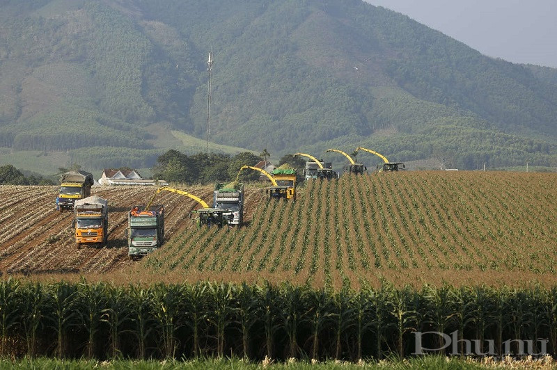 Nữ anh hùng lao động thời kỳ đổi mới Thái Hương: Những dấu ấn tiên phong - ảnh 3