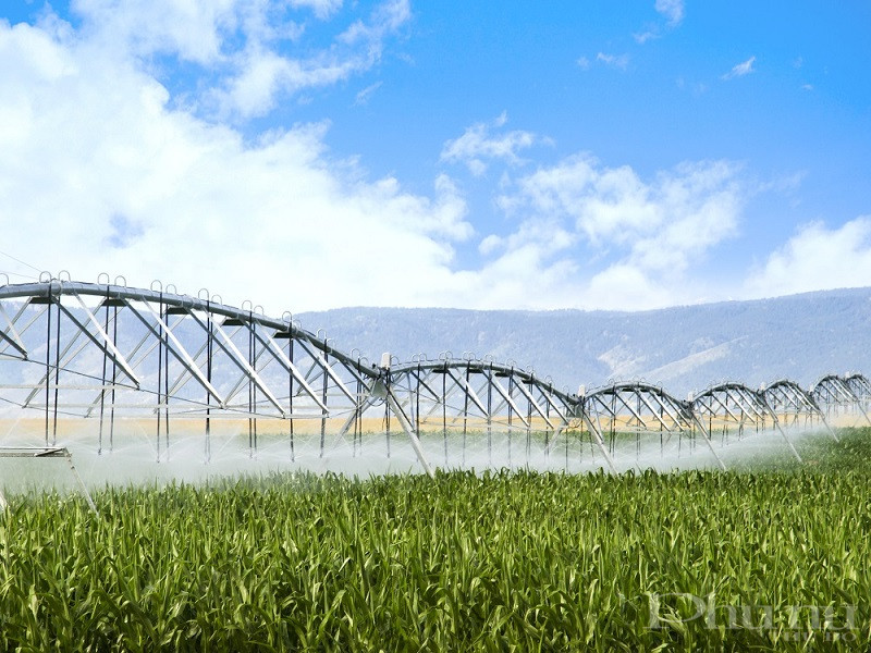 Nữ anh hùng lao động thời kỳ đổi mới Thái Hương: Những dấu ấn tiên phong - ảnh 4