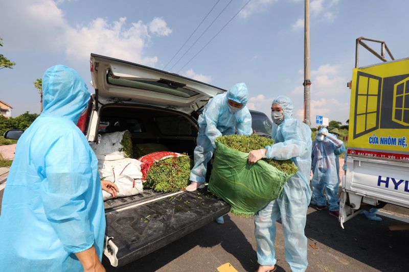 Hội LHPN tỉnh Bắc Giang ủng hộ nông sản giúp phụ nữ Hà Nội phòng chống dịch - ảnh 1