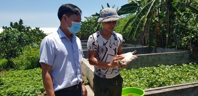 Anh Vũ Văn Lai giới thiệu về nuôi ba ba với ông Đinh Văn Thùy, Chủ tịch UBND xã Minh Châu