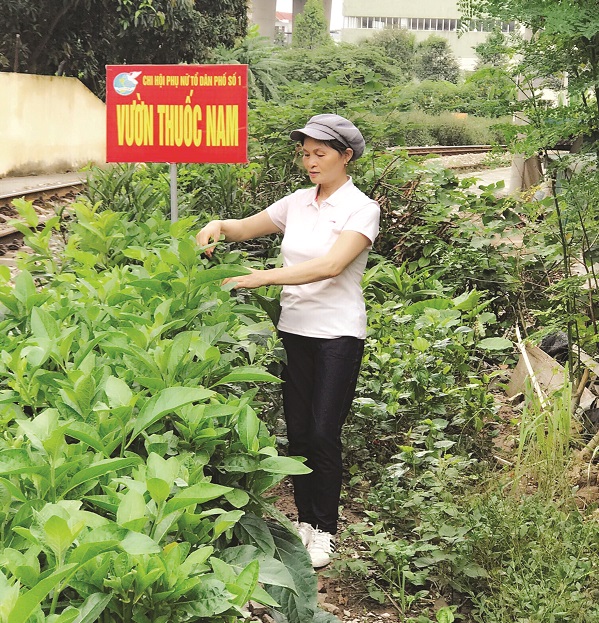 Không gian xanh tại khu tập thể Đ4 Phương Mai Không gian xanh tại khu tập thể Đ4 Phương Mai