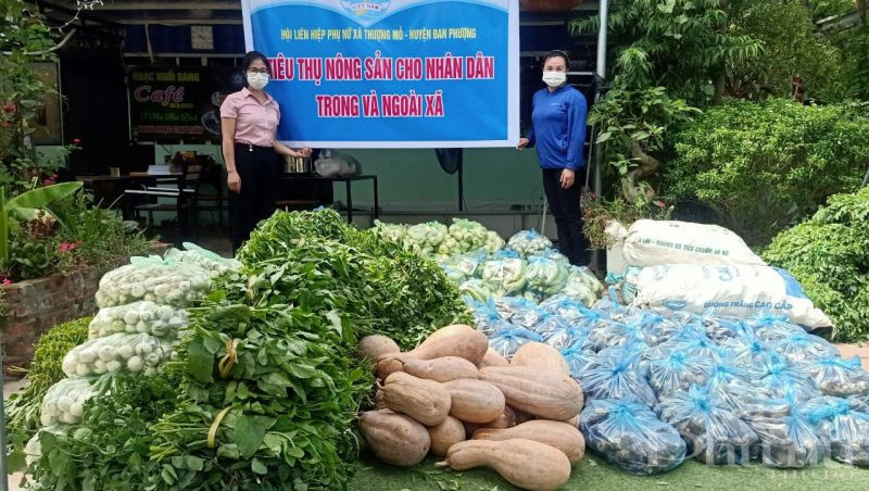 Hoạt động hỗ trợ tiêu thụ nông sản cũng được chị em hội viên tích cực hưởng ứng Hoạt động hỗ trợ tiêu thụ nông sản cũng được chị em hội viên tích cực hưởng ứng