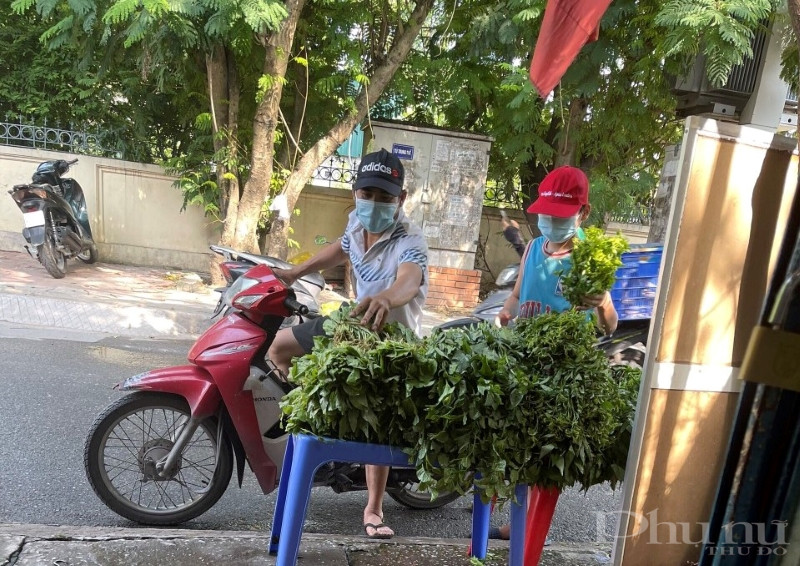 Người dân đến lấy rau tại các điểm tặng rau miễn phí.