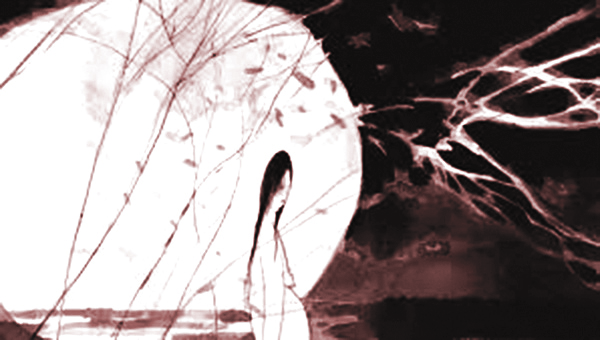 Minh họa sưu tầm