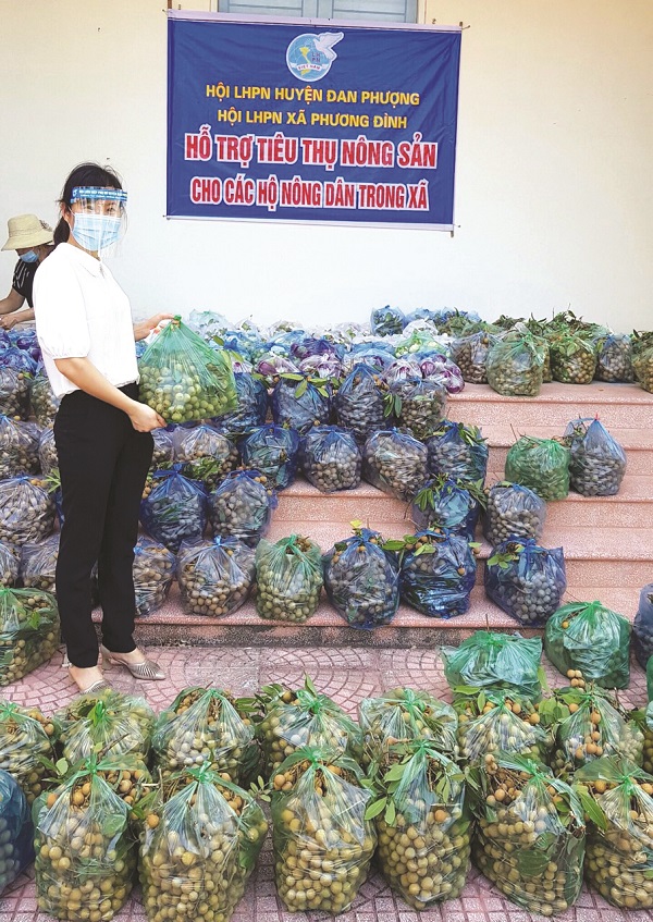 Hội LHPN xã Phương Đình, huyện Đan Phượng hỗ trợ nông dân tiêu thụ nông sản