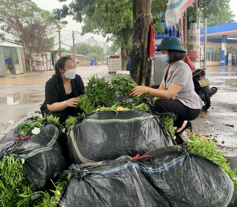 Hội LHPN quận tích cực hỗ trợ tiêu thụ nông sản cho phụ nữ và nhân dân. Trong ảnh: Chủ tịch Hội LHPN quận Hà Đông Lại Hà Phương chỉ đạo hỗ trợ tiêu thụ rau muống cho hội viên phụ nữ và nhân dân các phường Phú Lãm và Đồng Mai